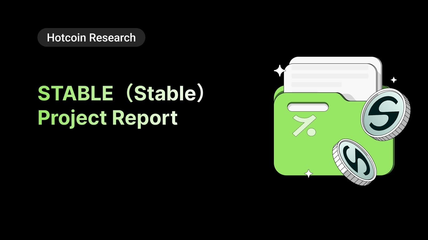 STABLE (Stable) Project Report
